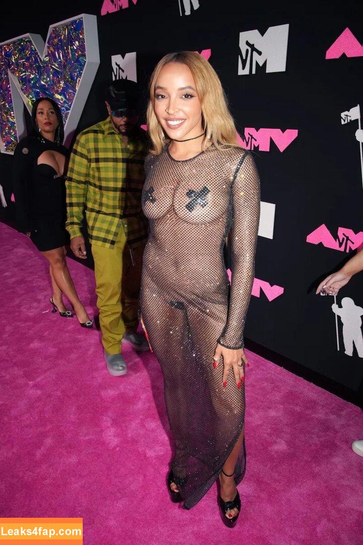 Tinashe / https: / slimred_20 / tinashenow leaked photo photo #0223