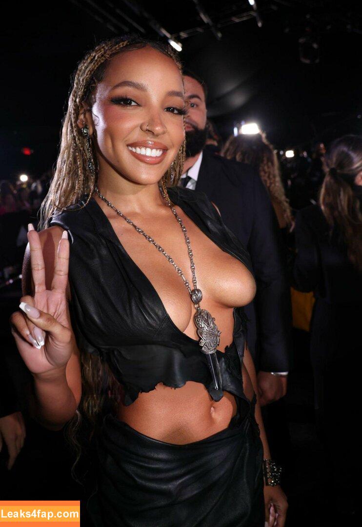 Tinashe / https: / slimred_20 / tinashenow leaked photo photo #0574