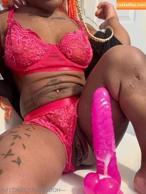 tink.tynk photo #0095