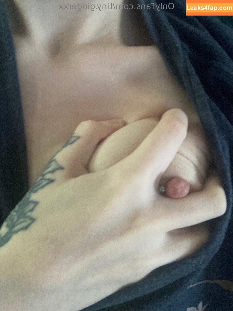 tiny.gingerxx / tiny_ging leaked photo photo #0013