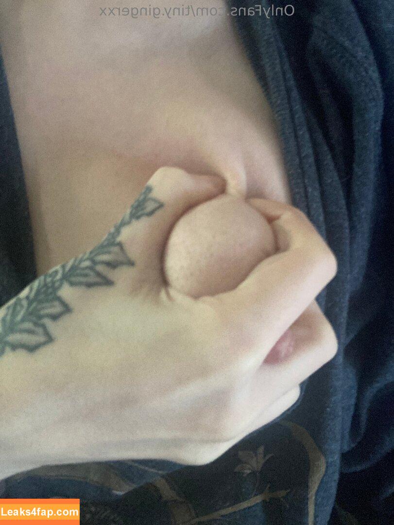 tiny.gingerxx / tiny_ging leaked photo photo #0014