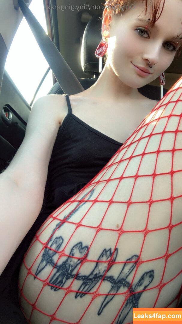 tiny.gingerxx / tiny_ging leaked photo photo #0022