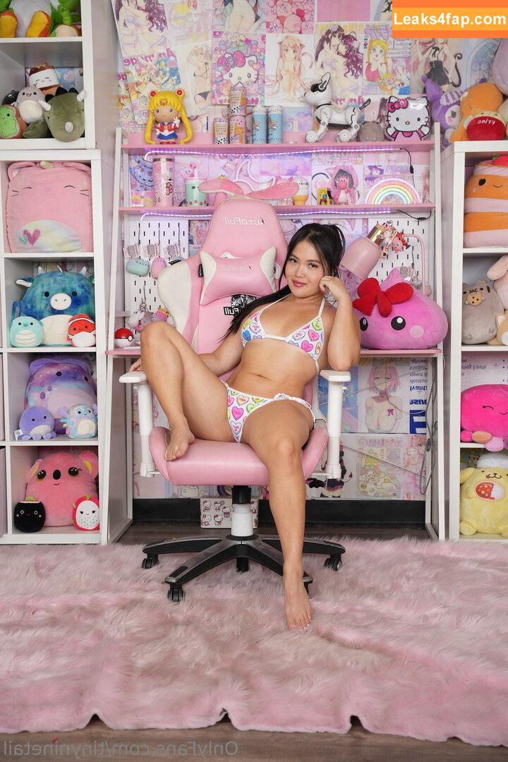 tinyninetail /  leaked photo photo #0024