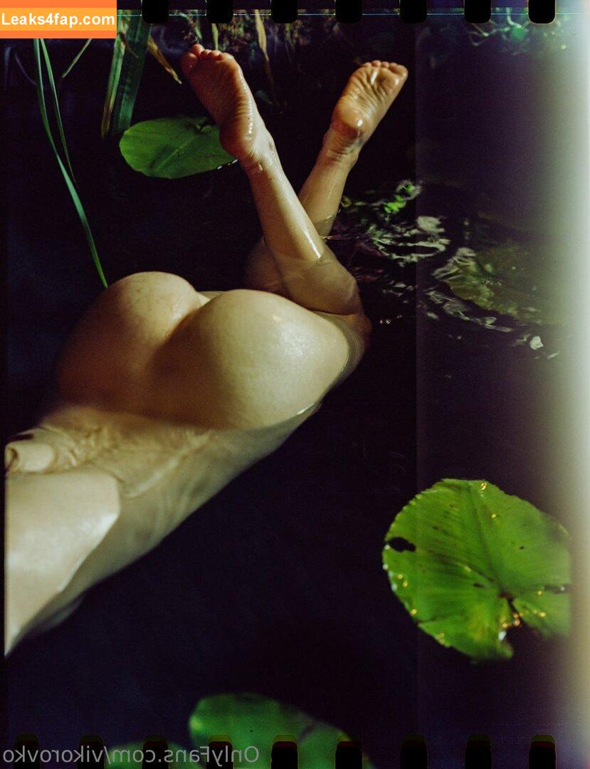 Toree / vikorovko leaked photo photo #0028