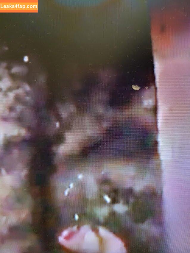 Torrie Wilson / torriewilson слитое фото фото #0689