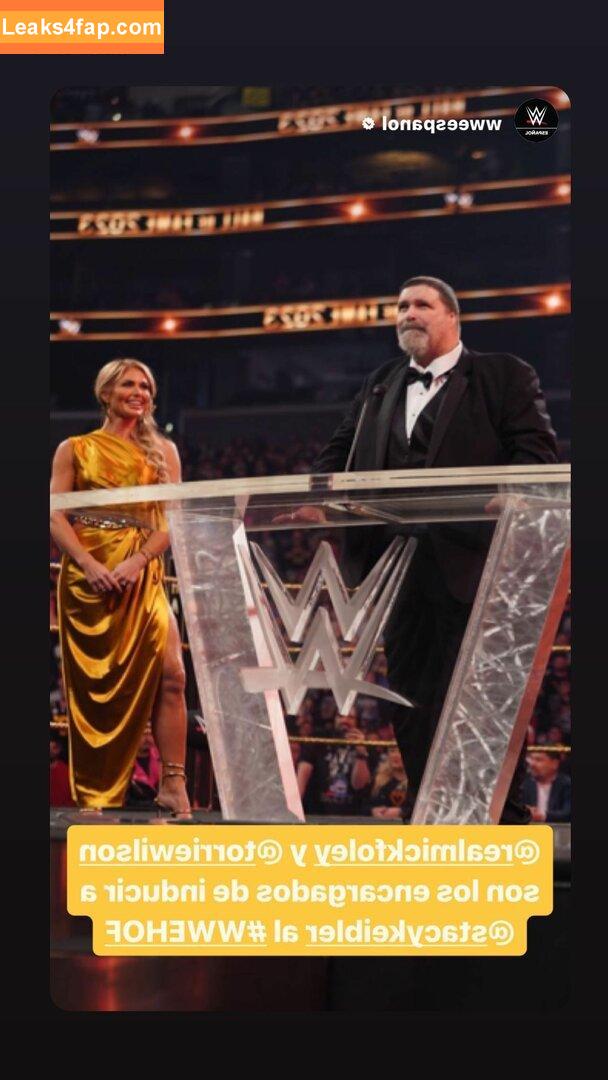 Torrie Wilson / torriewilson слитое фото фото #0874