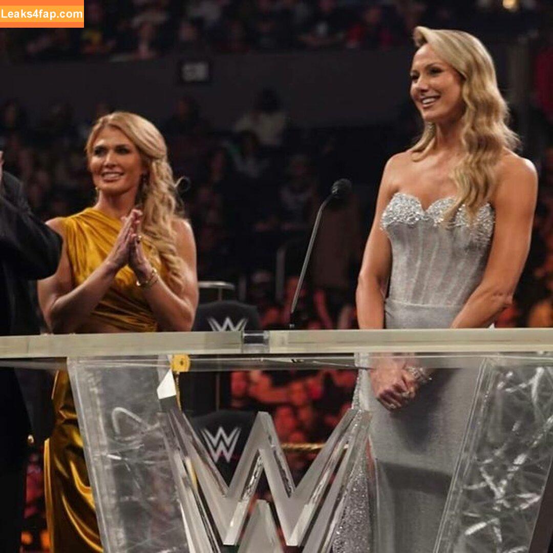 Torrie Wilson / torriewilson слитое фото фото #0878