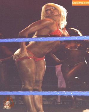 Torrie Wilson фото #0574