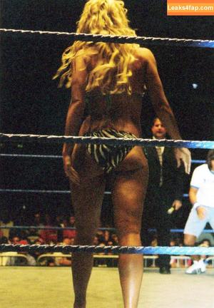 Torrie Wilson photo #1026