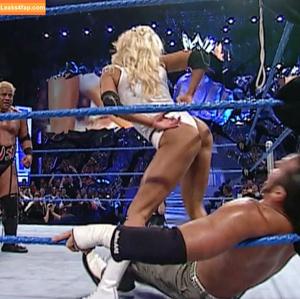 Torrie Wilson photo #1219