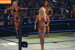 Torrie Wilson photo #1722