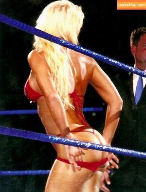 Torrie Wilson photo #1727