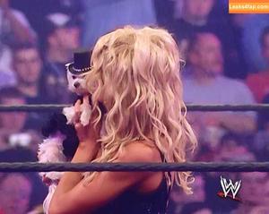 Torrie Wilson photo #1764