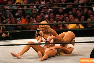 Torrie Wilson photo #1772