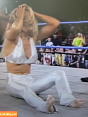 Torrie Wilson photo #1818