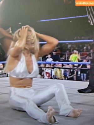 Torrie Wilson photo #1820