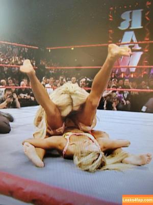 Torrie Wilson photo #2242
