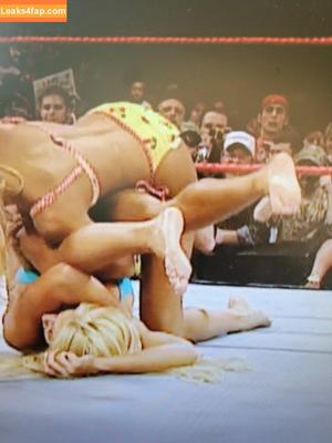 Torrie Wilson photo #2252