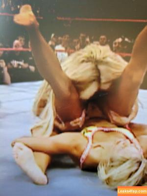 Torrie Wilson photo #2256