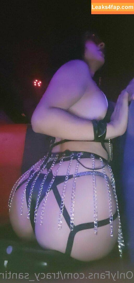 tracy_santini /  leaked photo photo #0011