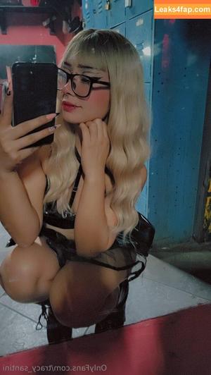 tracy_santini photo #0002