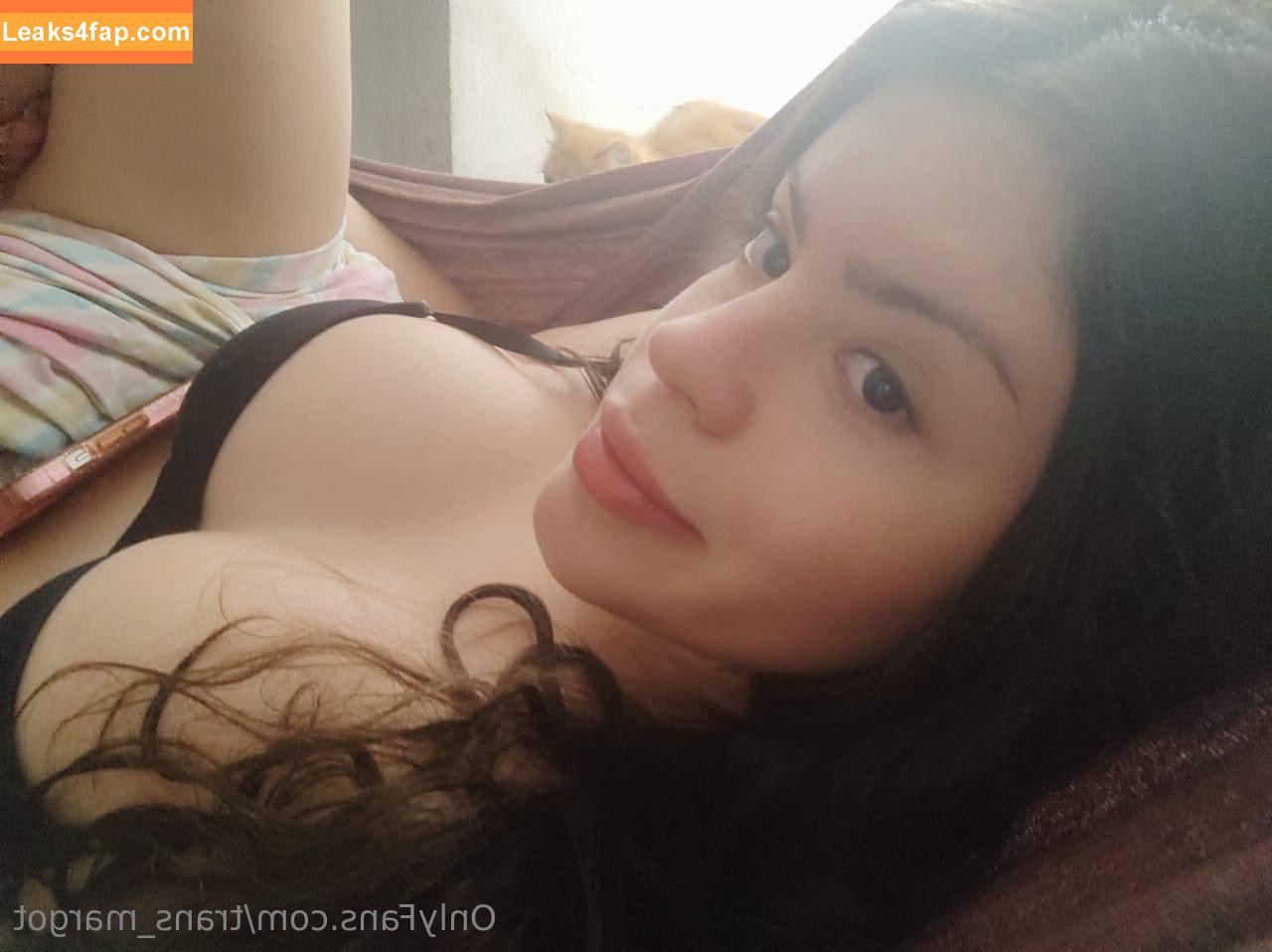 trans_margot / transanta слитое фото фото #0033