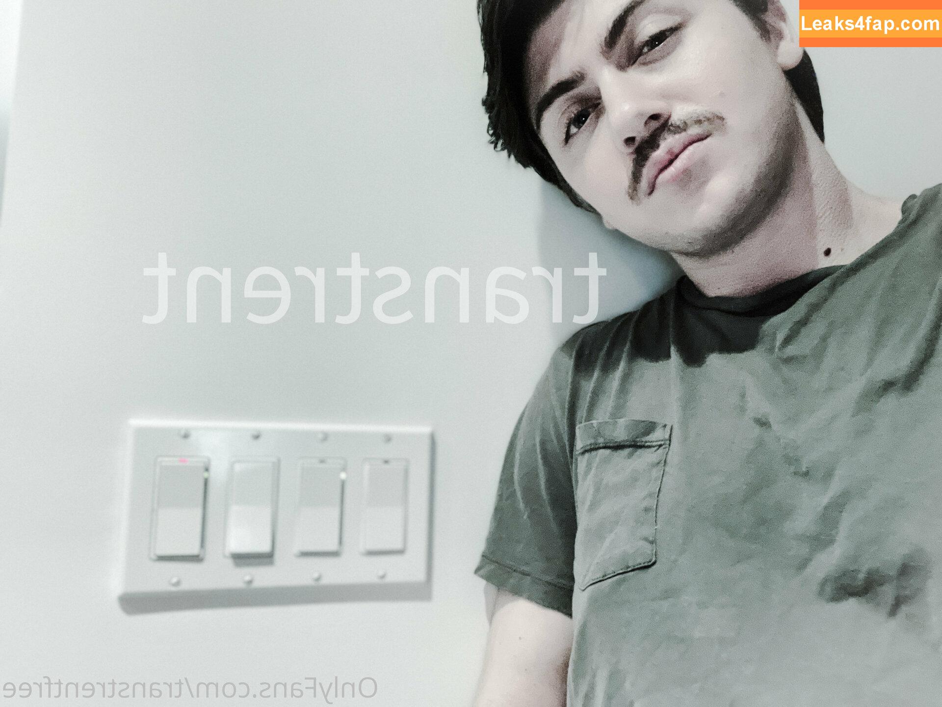 transtrentfree / toesaintfree leaked photo photo #0032