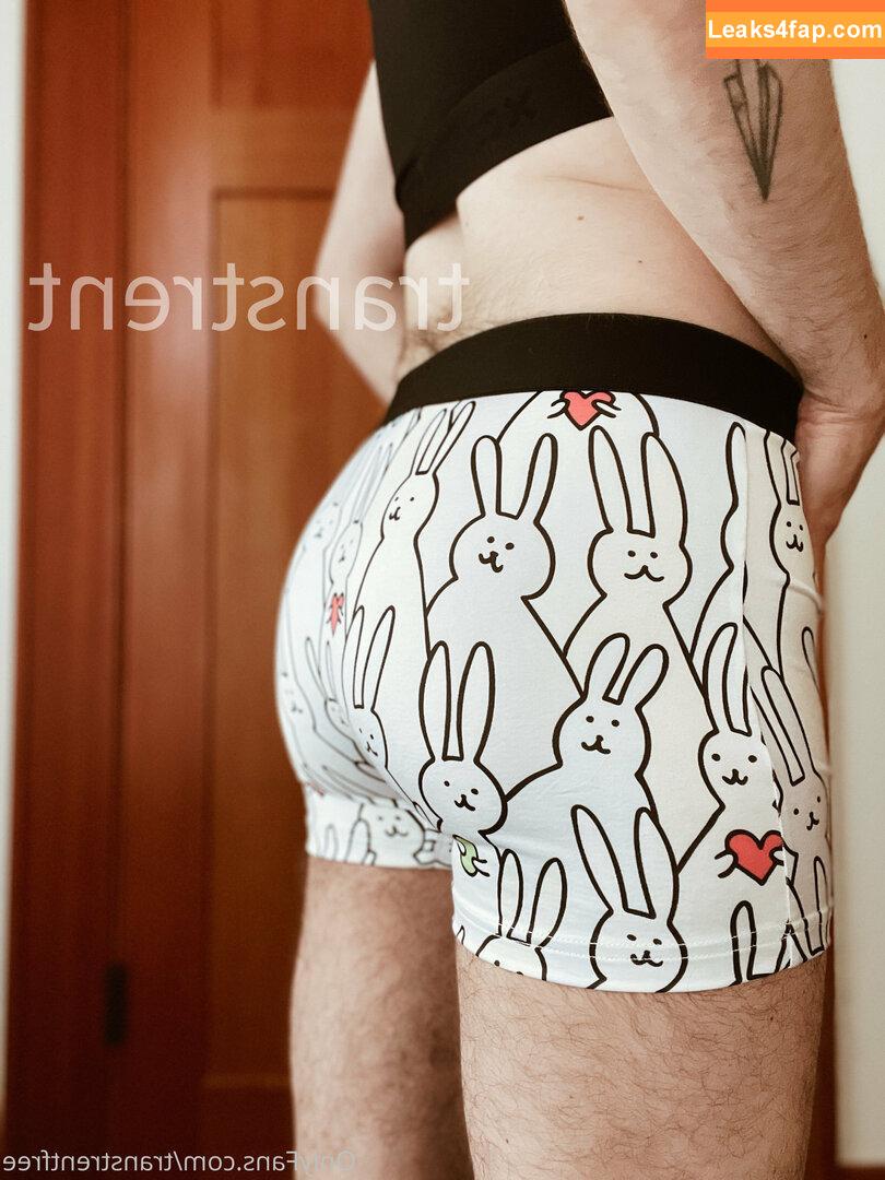 transtrentfree / toesaintfree leaked photo photo #0076