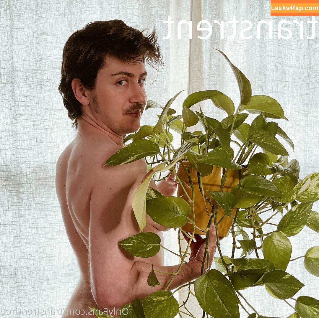 transtrentfree / toesaintfree leaked photo photo #0115