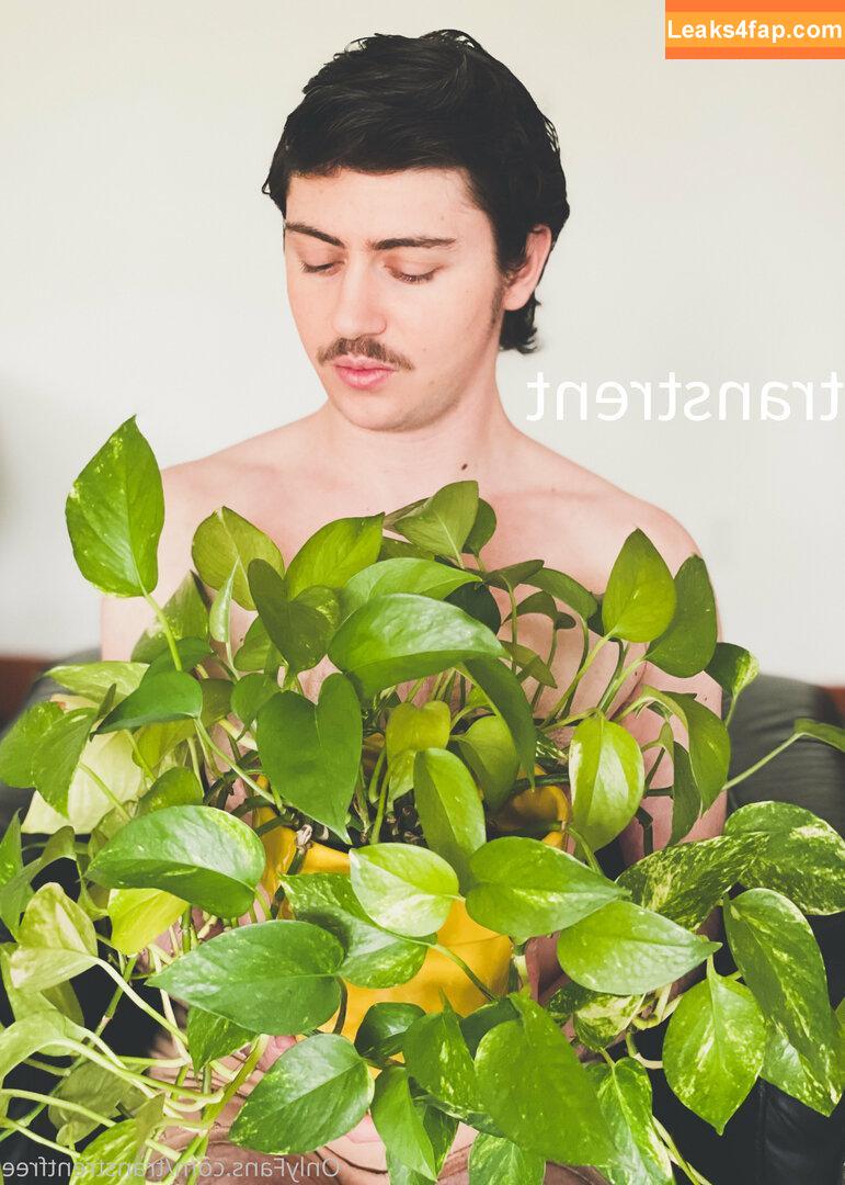 transtrentfree / toesaintfree leaked photo photo #0118