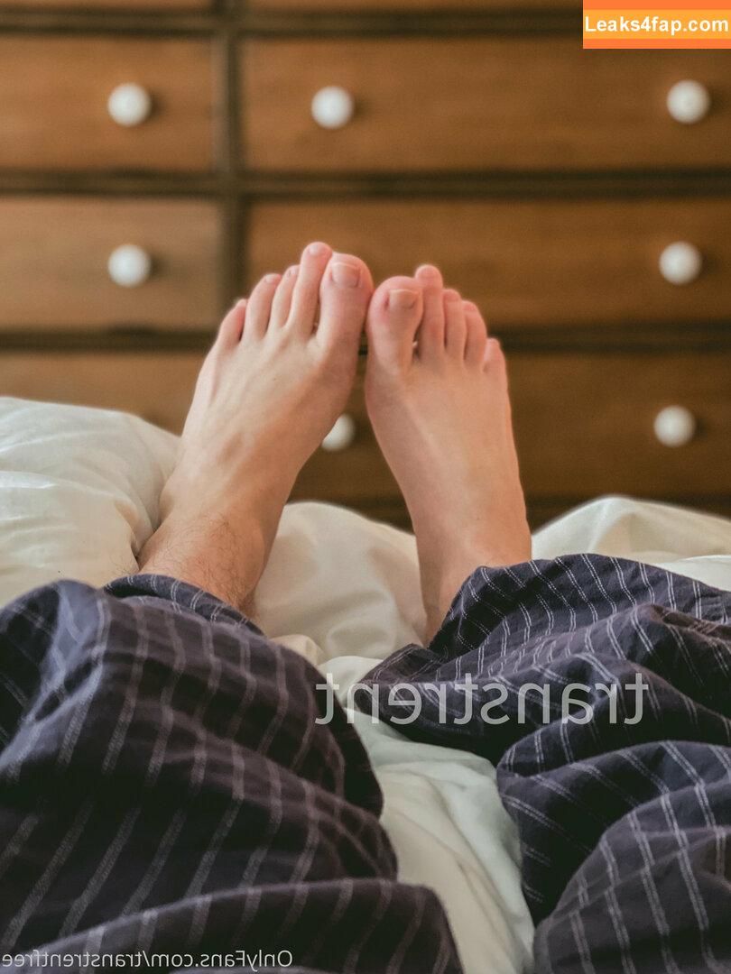transtrentfree / toesaintfree слитое фото фото #0135