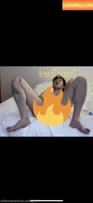 transtrentfree photo #0014
