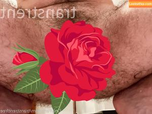 transtrentfree photo #0070