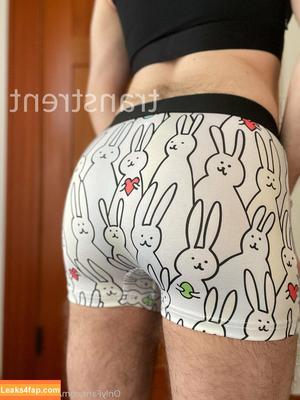 transtrentfree photo #0082