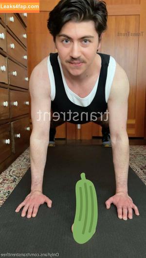 transtrentfree photo #0090