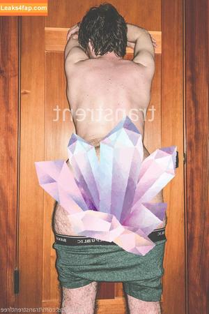 transtrentfree photo #0108