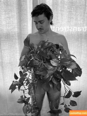 transtrentfree photo #0114