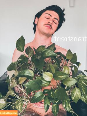 transtrentfree photo #0117