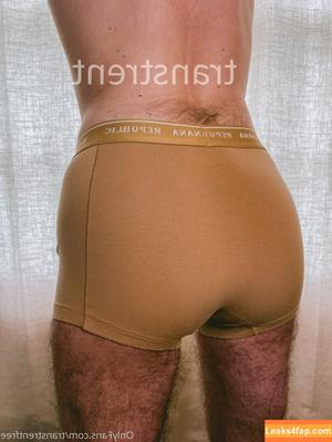transtrentfree photo #0140