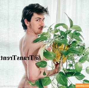 transtrentfree photo #0170
