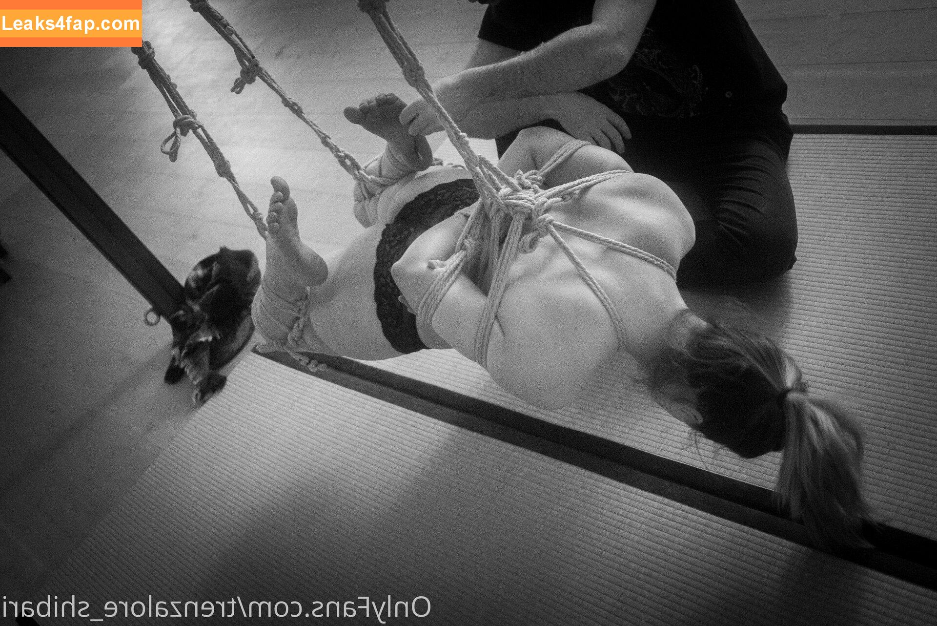 trenzalore_shibari / tensionmtl leaked photo photo #0036