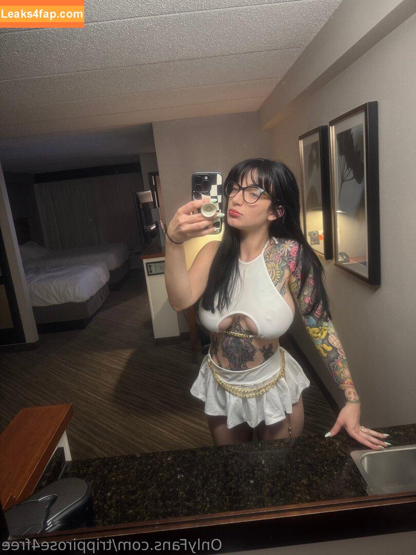 trippirose4free / thetrippirosee leaked photo photo #0004