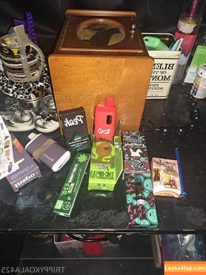 trippykoala425 photo #0070