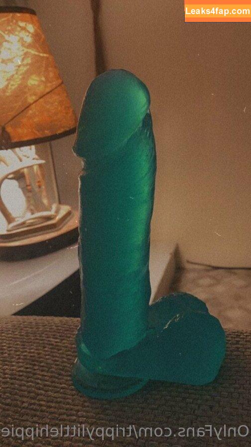 trippylittlehippiefreak /  leaked photo photo #0014