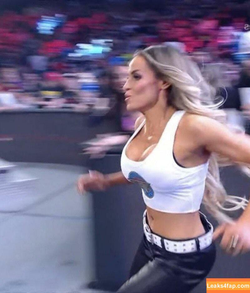 Trish Stratus / trishstratuscom слитое фото фото #0436