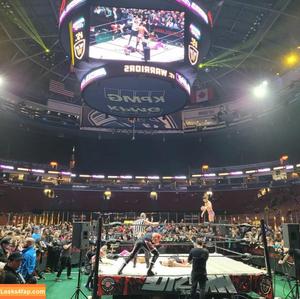 Trish Stratus photo #0415