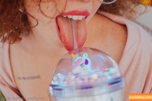tucolores photo #0006