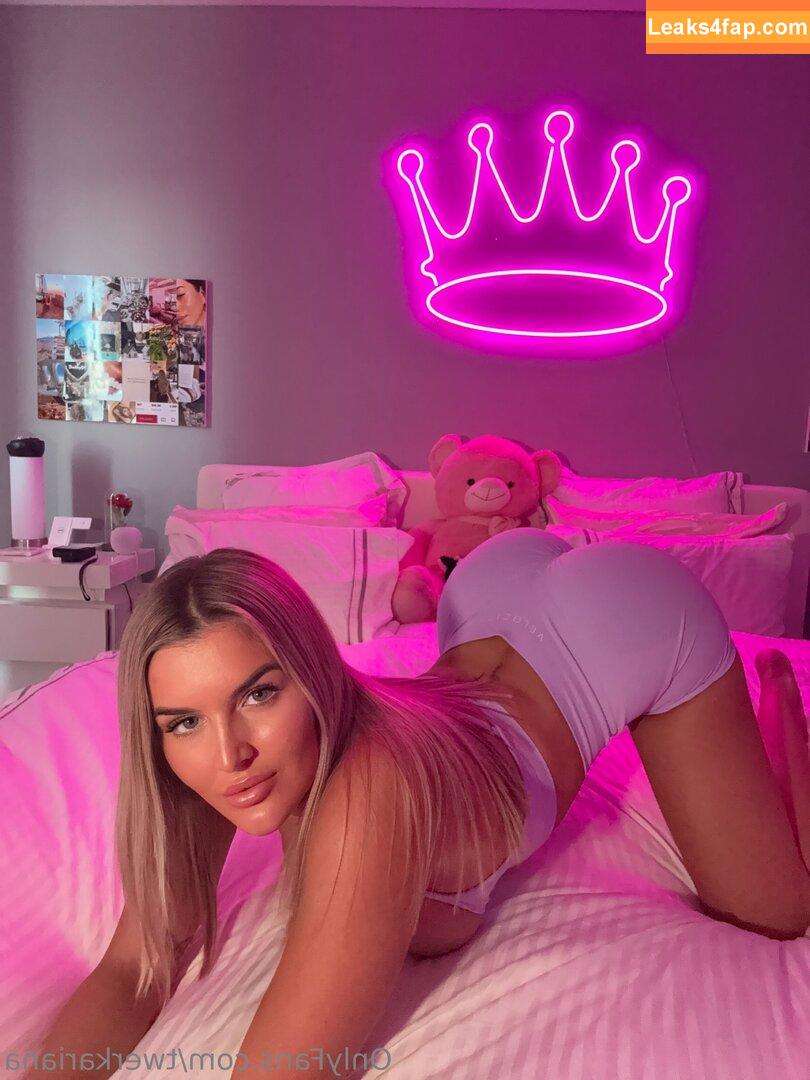 twerkariana / ariana / arianarose слитое фото фото #0409