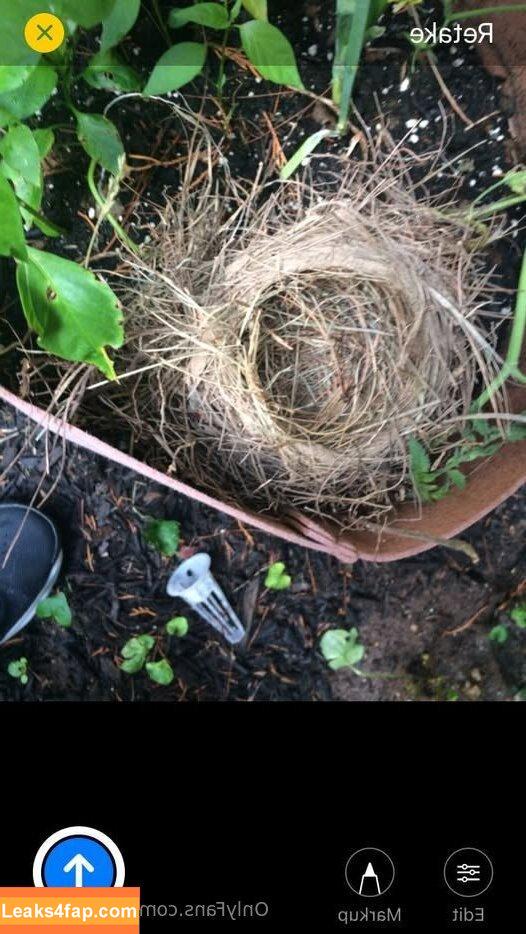 u357850525 /  leaked photo photo #0021