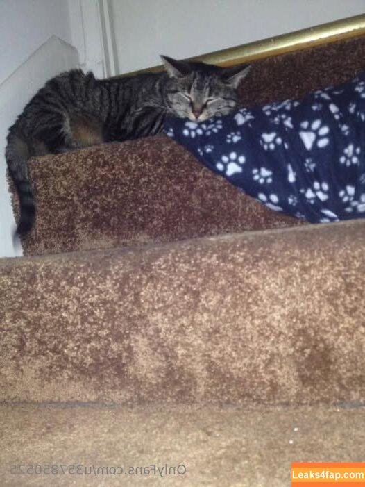 u357850525 /  leaked photo photo #0024